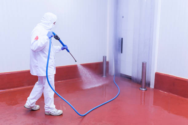 Best Rust Removal  in Emmitsburg, MD