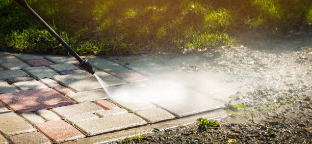 Animal Enclosure Cleaning in Emmitsburg, MD
